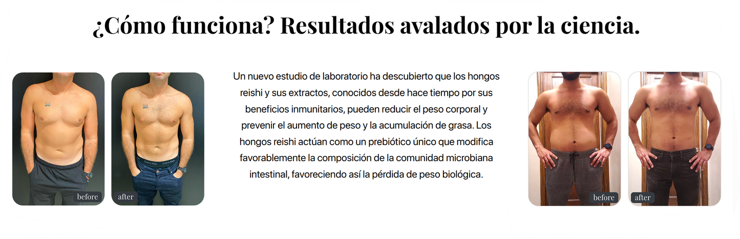 LifeCell Myco+ - Producto dietético a base de hongos