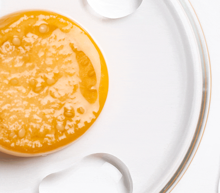 Limpiador en Espuma Extracto Divino