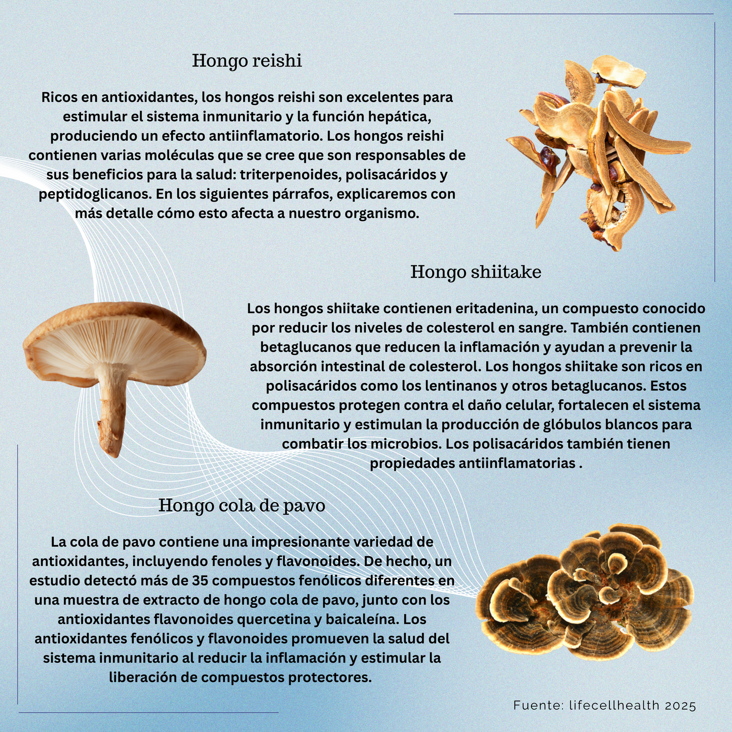 LifeCell Myco+ - Producto dietético a base de hongos