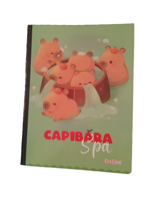 1353-67 📐 Cuaderno Cosido Grafitos  23411