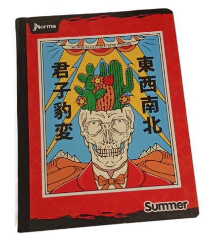 1353-42 🌞 Cuaderno Cosido Summer – Norma Sticker Niño 20113