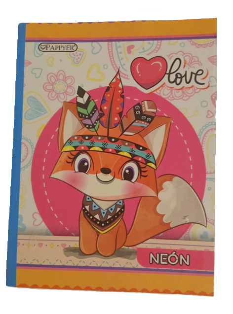 1353-55 💖 Cuaderno Cosido Neón Escarchado PAPPYER – Niña 25780