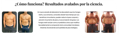 LifeCell Myco+ - Producto dietético a base de hongos