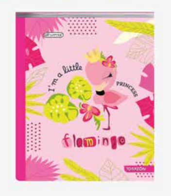 1353-56 📘 Cuaderno Cosido TORREÓN PAPPYER – Niña 25847