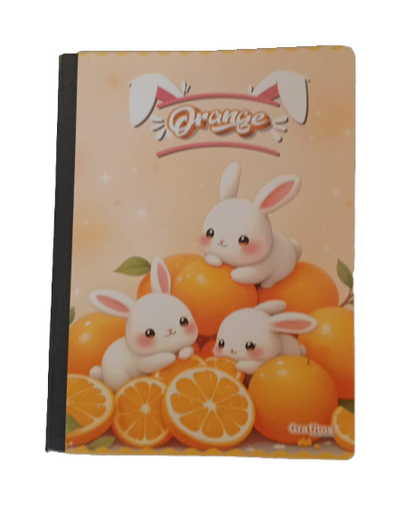 1353-67 📐 Cuaderno Cosido Grafitos  23411
