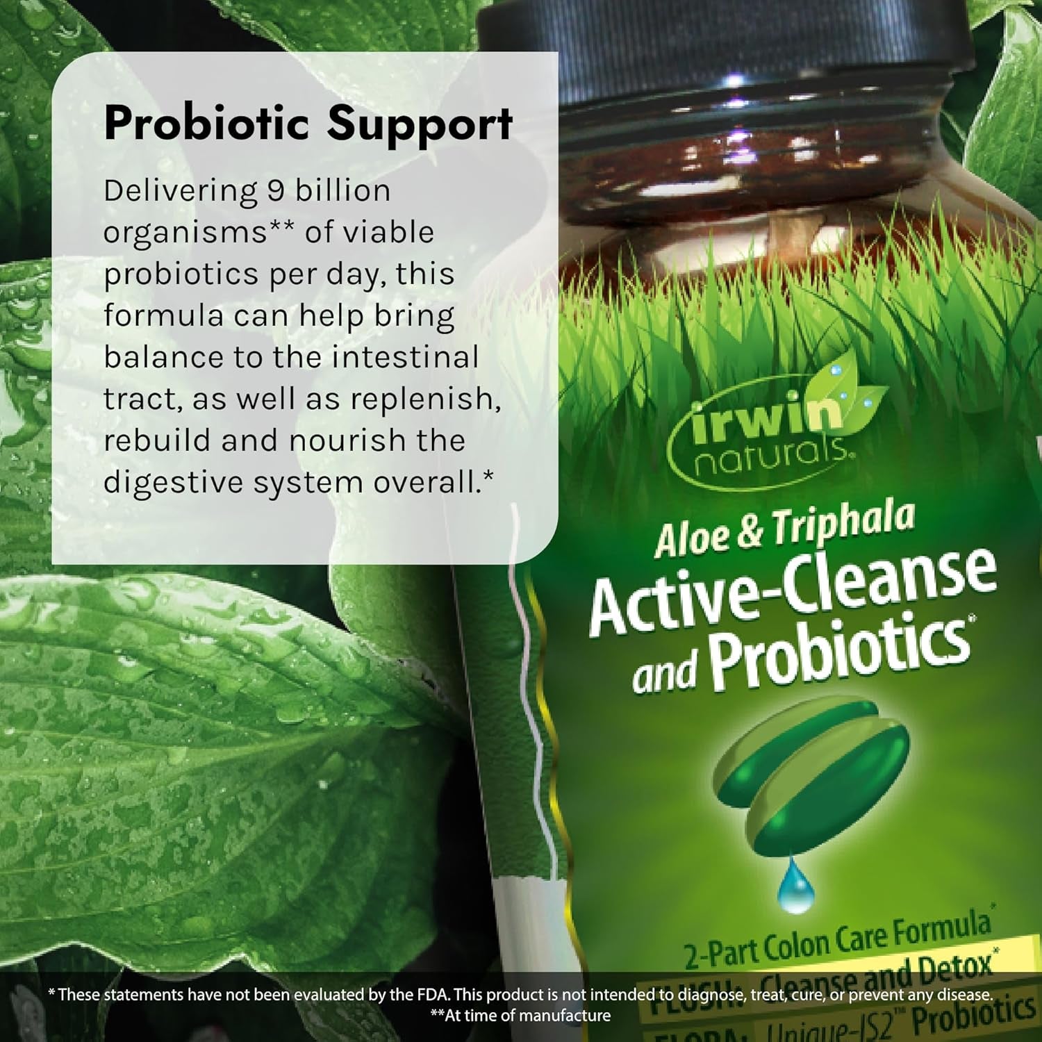 Aloe & Triphala Active Cleanse + Probiotics - 60 Liquid Softgels - Natural Digestive Support - Gentle, Effective Detox + Elimination 2-Part Colon Care - Nourish + Balance