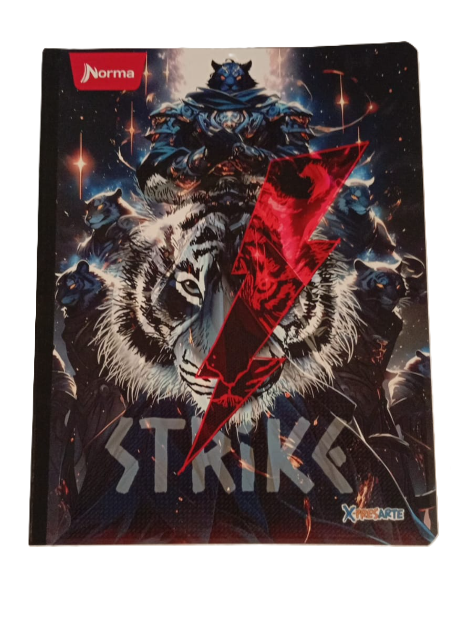 1353-53 ✨ Cuaderno Cosido X-PRESARTE NORMA – Niño 25891