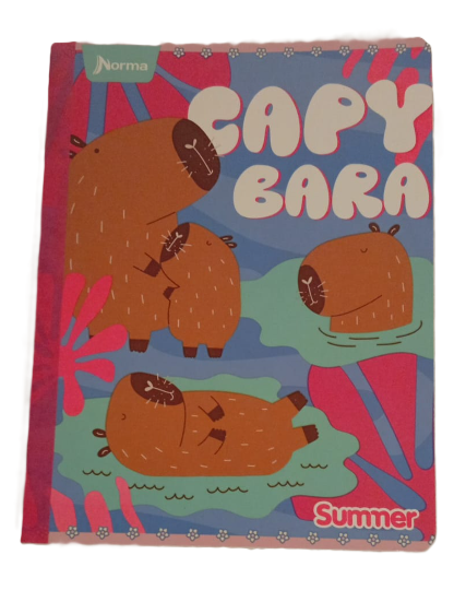 1353-50 🌸📘 Cuaderno Cosido Norma Summer – Niña 25856