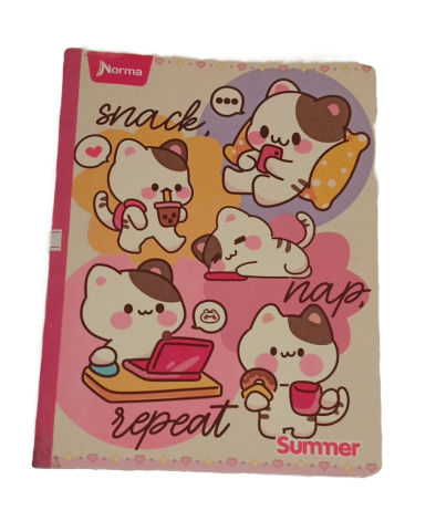 1353-43 🌸 Cuaderno Cosido Summer - Norma Stiker Niña 25851