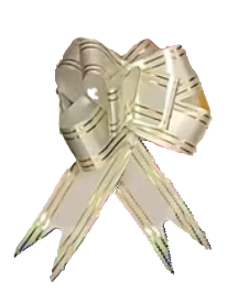 136131 🎀 Lazos de Mariposa Decorativos – PE08