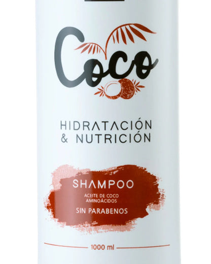 Shampoo blow&bliss coco sin sal - REF CT150 (11)