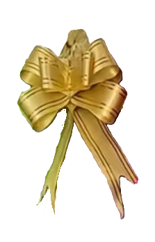 136131 🎀 Lazos de Mariposa Decorativos – PE08