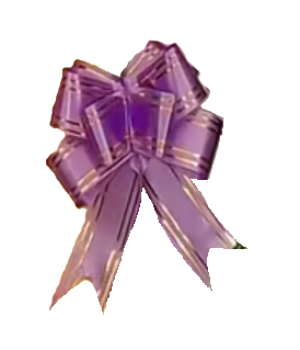 136131 🎀 Lazos de Mariposa Decorativos – PE08