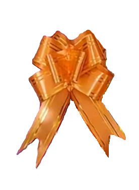 136131 🎀 Lazos de Mariposa Decorativos – PE08