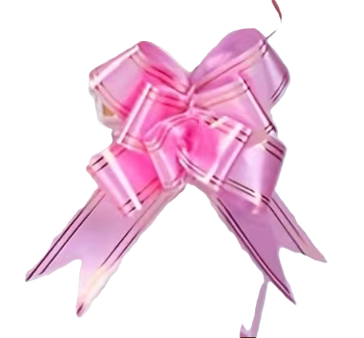 136131 🎀 Lazos de Mariposa Decorativos – PE08