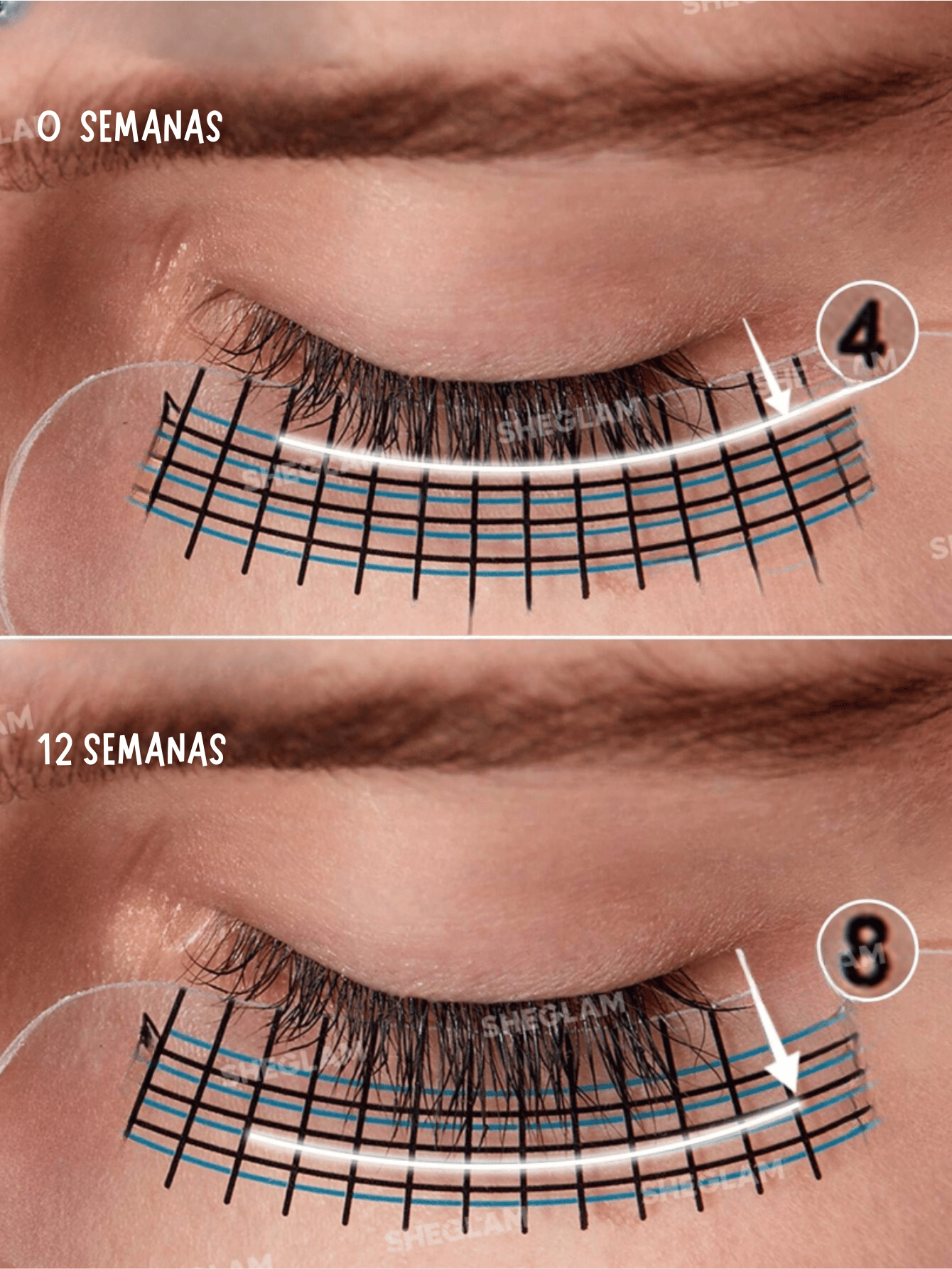 SHEGLAM Gro-Pro Sérum Nutritivo Transparente para Pestañas y Cejas