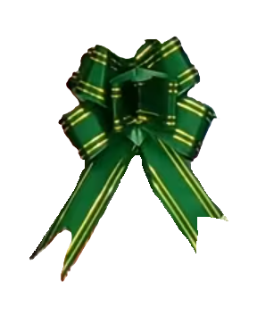 136131 🎀 Lazos de Mariposa Decorativos – PE08