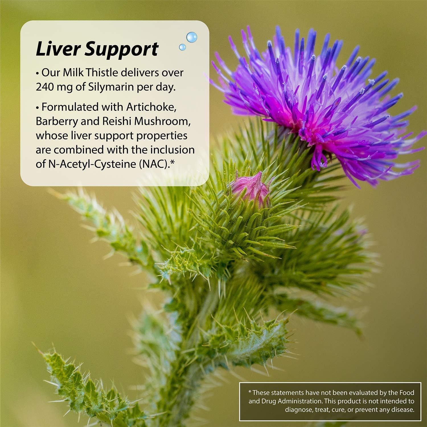 2-In-1 Kidney & Liver Super Cleanse 60 Sgels
