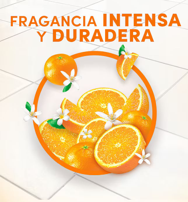 1195 🍊🧴 Fabuloso Energía Naranja